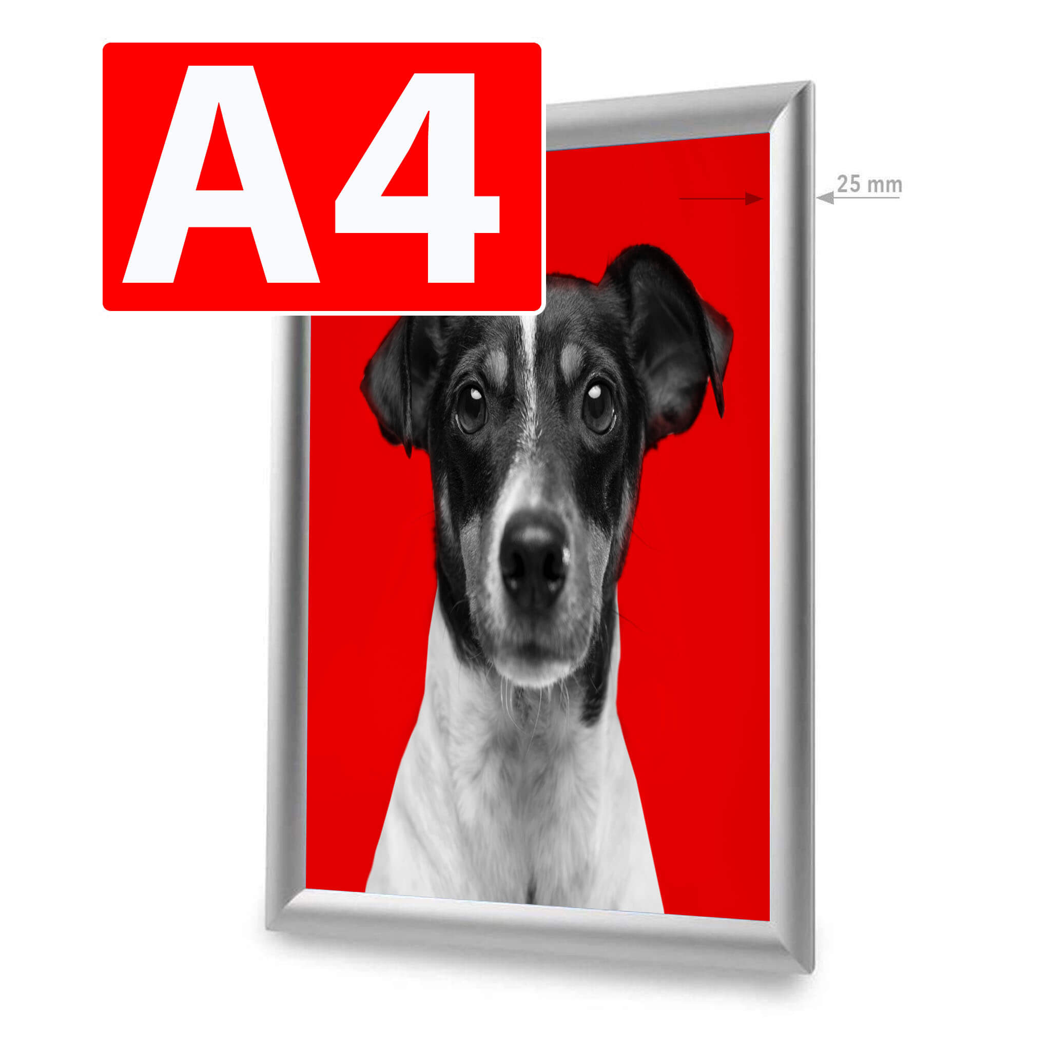 Click Frame Standard Silver - de la 22.12 LEI |  PRINTCENTER - Tipar digital, offset, indoor, outdoor