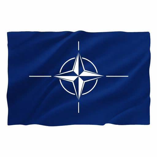 Drapel NATO - de la 5.31 LEI |  PRINTCENTER - Tipar digital, offset, indoor, outdoor
